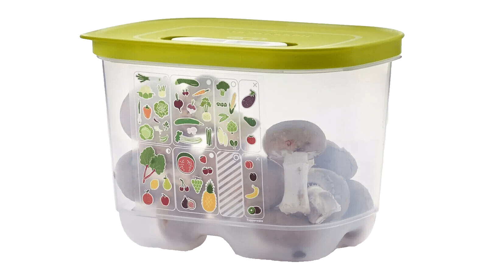 tupperware aufbewahrung gemüse KlimaOase 1,8 L – DerTupperonkel.de