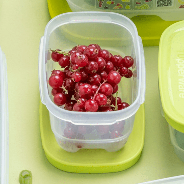 DerTupperonkel.de - KlimaOase 375 ML -