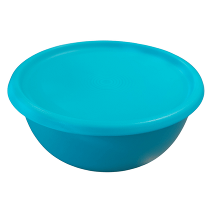 DerTupperonkel.de - Ergonomica 500 ML - türkis - 