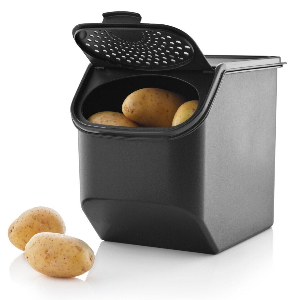 DerTupperonkel.de - Kartoffel - Lager - 