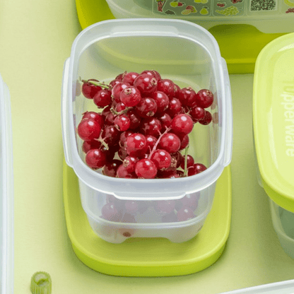 DerTupperonkel.de - KlimaOase 375 ML - 