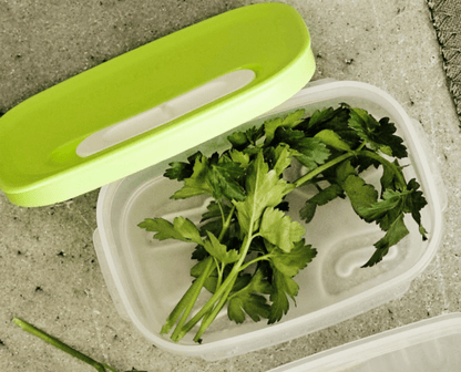 DerTupperonkel.de - KlimaOase 375 ML - 