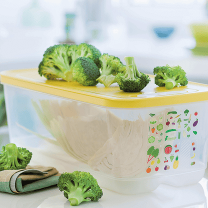 DerTupperonkel.de - KlimaOase 6,1 L - Deckel gelb - 