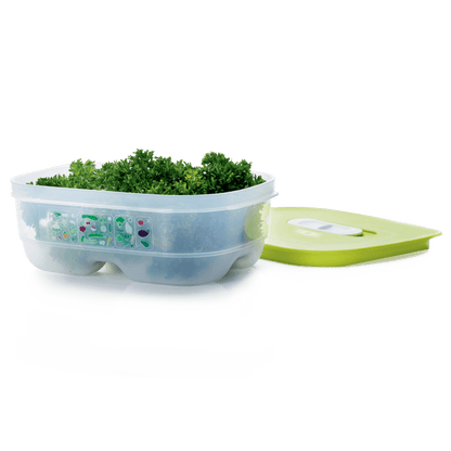 DerTupperonkel.de - KlimaOase 800 ML - 