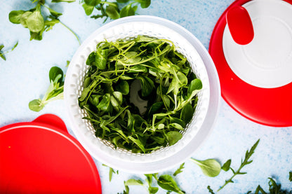 DerTupperonkel.de - Salatkarussell 2 - ohne Transportdeckel - 