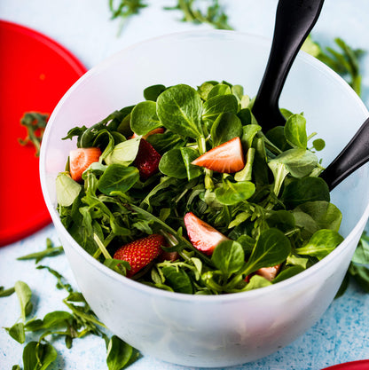 DerTupperonkel.de - Salatkarussell 2 - ohne Transportdeckel - 