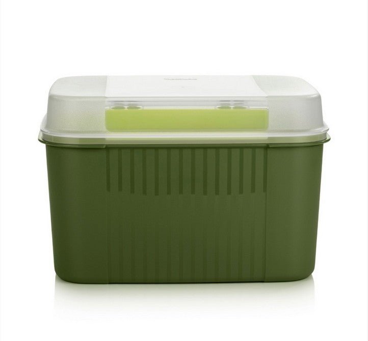 DerTupperonkel.de - Schatzkiste - grün - 